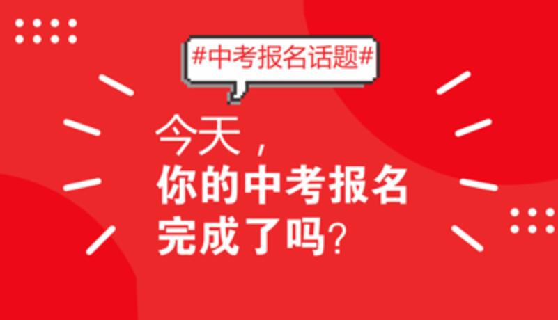 公开信息按发布时间滚动